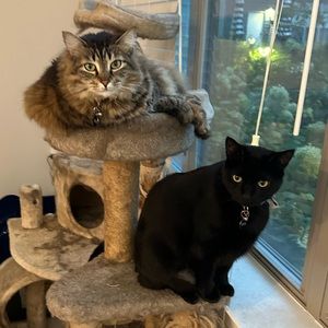 Meet your Posher, Kate